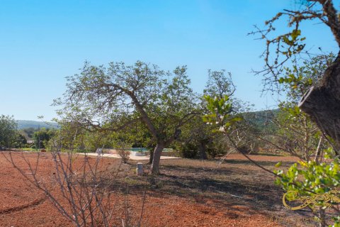Finca for sale San Mateu D'albarca, Ibiza, Spain 189 sq.m. No. 130011 - photo 8