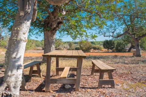 Finca for sale San Mateu D'albarca, Ibiza, Spain 189 sq.m. No. 130011 - photo 7