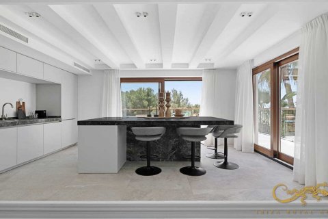 Villa zum Verkauf Can Furnet, Ibiza, Spanien 6 Schlafzimmer, 387 m2 Nr. 130019 - Foto 12