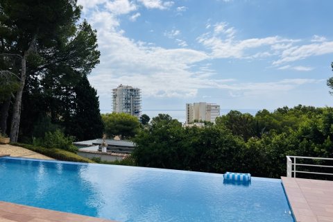 Villa en venta Palmanova, Mallorca, España 6 dormitorios, 282 m2 No. 129961 - foto 16