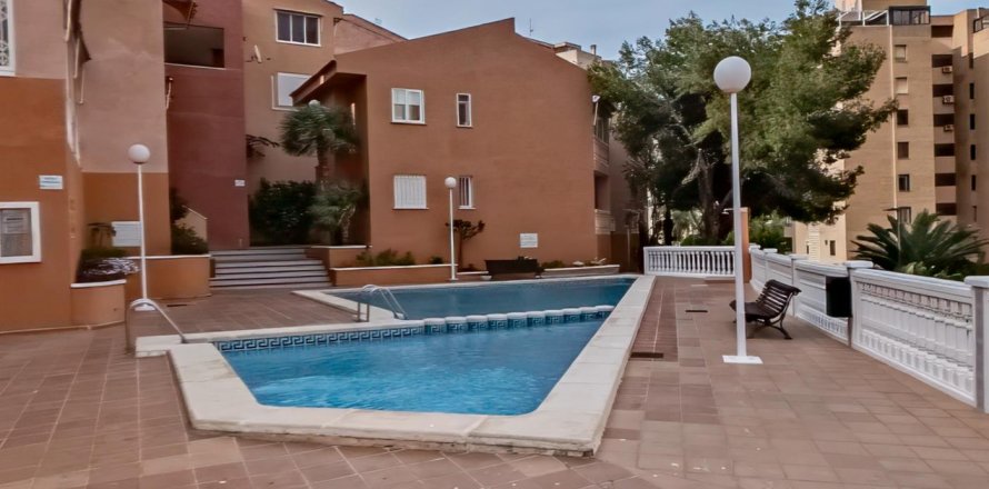 Appartamento Benidorm, Alicante, Spagna 2 camere da letto, 71 mq. N° 125020