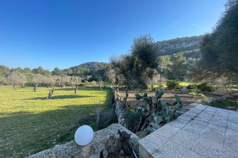 Finca for rent Pollenca, Mallorca, Spain 7 bedrooms, 680 sq.m. No. 128080 - photo 10