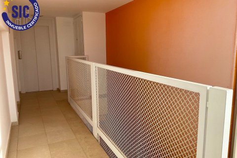Продажа квартиры в Олива, Валенсия, Испания 3 спальни, 80м2 №120509 - фото 23