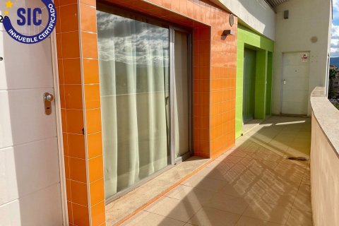 Продажа квартиры в Олива, Валенсия, Испания 3 спальни, 80м2 №120509 - фото 21