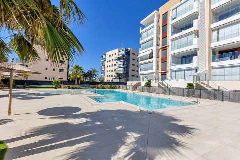 Apartment for sale Mil Palmeras, Alicante, Spain 2 bedrooms, 79 sq.m. No. 120122 - photo 25