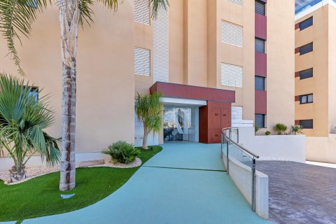 Apartment for sale Mil Palmeras, Alicante, Spain 2 bedrooms, 79 sq.m. No. 120122 - photo 29