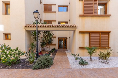 Продажа квартиры Пунта Прима, Аликанте, Испания 3 спальни, 124м2 №120127 - фото 30