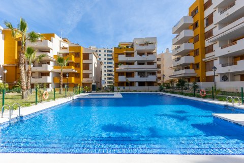 Продажа квартиры Пунта Прима, Аликанте, Испания 3 спальни, 124м2 №120127 - фото 25