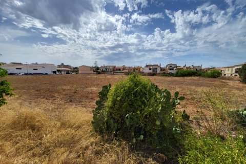 Tontti myytävänä Llucmajor, Mallorca, Espanja, 4 makuuhuonetta, 184 m2 No. 129706 - kuva 2