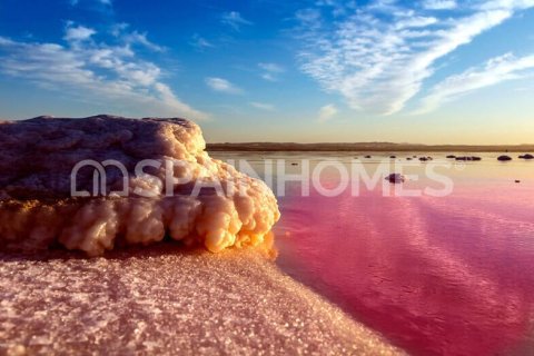 Lägenhet till salu i Torrevieja, Alicante, Spanien 2 sovrum, 57 kvm. Nr. 121208 - foto 25