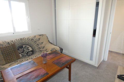 Apartment à vendre Punta Prima, Alicante, Espagne, 3 chambres, 82 m2 No. 125956 - photo 26