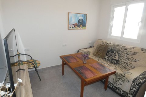 Apartment à vendre Punta Prima, Alicante, Espagne, 3 chambres, 82 m2 No. 125956 - photo 24