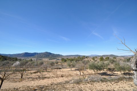 Finka Monovar, Alicante, Hiszpania 6 sypialni, 260 mkw. nr 125616 – zdjęcie 19