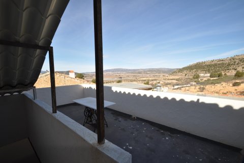 Finka Monovar, Alicante, Hiszpania 6 sypialni, 260 mkw. nr 125616 – zdjęcie 12