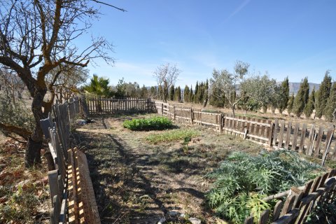 Finca for sale Salinas, Alicante, Spain 5 bedrooms, 155 sq.m. No. 125617 - photo 16