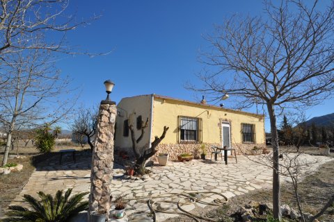 Finca for sale Salinas, Alicante, Spain 5 bedrooms, 155 sq.m. No. 125617 - photo 14