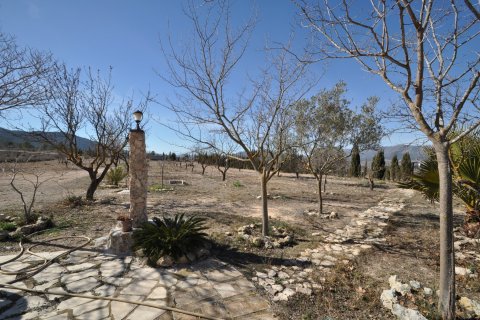 Finca for sale Salinas, Alicante, Spain 5 bedrooms, 155 sq.m. No. 125617 - photo 17