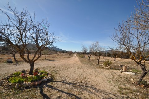 Finca for sale Salinas, Alicante, Spain 5 bedrooms, 155 sq.m. No. 125617 - photo 18