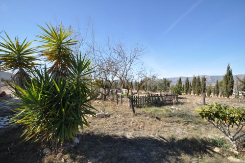 Finca for sale Salinas, Alicante, Spain 5 bedrooms, 155 sq.m. No. 125617 - photo 15