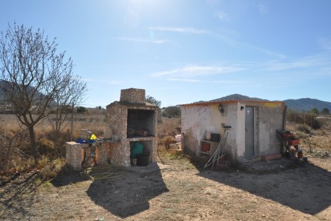 Finca for sale Salinas, Alicante, Spain 5 bedrooms, 155 sq.m. No. 125617 - photo 13