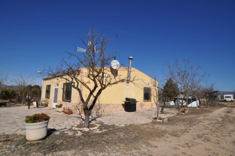 Finca for sale Salinas, Alicante, Spain 5 bedrooms, 155 sq.m. No. 125617 - photo 20