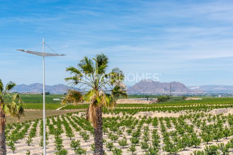 Villa till salu i Algorfa, Alicante, Spanien 3 sovrum, 103 kvm. Nr. 121082 - foto 16