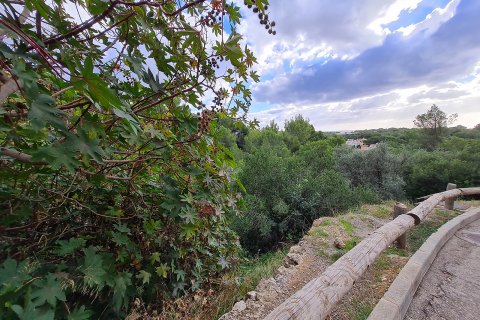 Land plot for sale Portals Nous, Mallorca, Spain 1356 sq.m. No. 128158 - photo 6