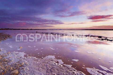 Apartment for sale Torrevieja, Alicante, Spain 1 bedroom, 55 sq.m. No. 121213 - photo 22