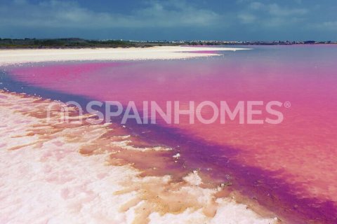 Apartment for sale Torrevieja, Alicante, Spain 1 bedroom, 59 sq.m. No. 121212 - photo 25