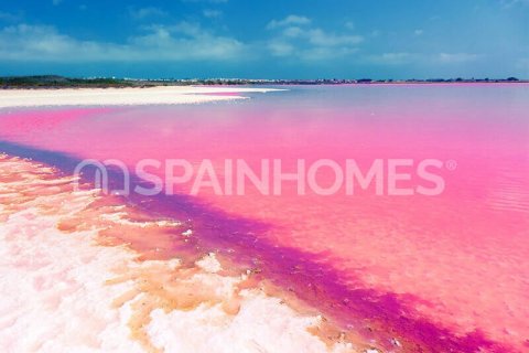 Apartament Torrevieja, Alicante, Hiszpania 2 sypialnie, 72 mkw. nr 121215 – zdjęcie 20