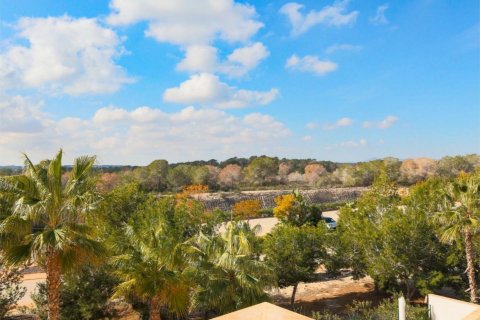 Apartment for sale Pinar De Campoverde, Alicante, Spain 2 bedrooms, 72 sq.m. No. 125644 - photo 18