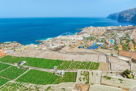 Land plot for sale Puerto de Santiago, Tenerife, Spain No. 130905 - photo 3