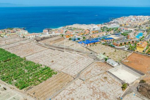 Land plot for sale Puerto de Santiago, Tenerife, Spain No. 130905 - photo 7