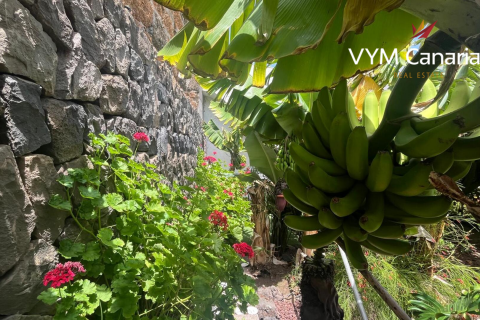 Finca myytävänä La Caleta, Ibiza, Espanja, 7 makuuhuonetta, 95 m2 No. 129798 - kuva 29