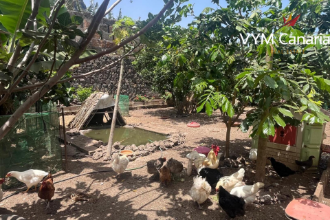 Finca myytävänä La Caleta, Ibiza, Espanja, 7 makuuhuonetta, 95 m2 No. 129798 - kuva 8