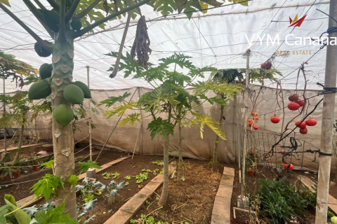 Finca myytävänä La Caleta, Ibiza, Espanja, 7 makuuhuonetta, 95 m2 No. 129798 - kuva 11
