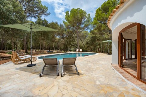 House for sale Ferreries, Menorca, Spain 3 bedrooms, 153 sq.m. No. 130870 - photo 3