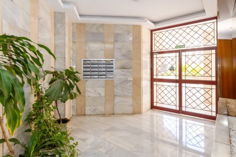 Продажа квартиры Малага, Испания 4 спальни, 168м2 №120570 - фото 13
