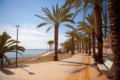 Apartment for sale Torre de la Horadada, Alicante, Spain 3 bedrooms, 81 sq.m. No. 131775 - photo 21