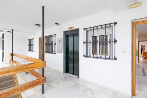 Takvåning till salu Fuengirola, Malaga, Spanien 1 sovrum, 111 kvm. Nr. 121542 - foto 3