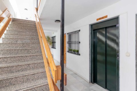 Penthouse à vendre à Fuengirola, Malaga, Espagne, 1 chambre, 111 m2 No. 121542 - photo 30