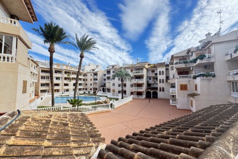 Apartament Torrevieja, Alicante, Hiszpania 2 sypialnie, 102 mkw. nr 125673 – zdjęcie 13