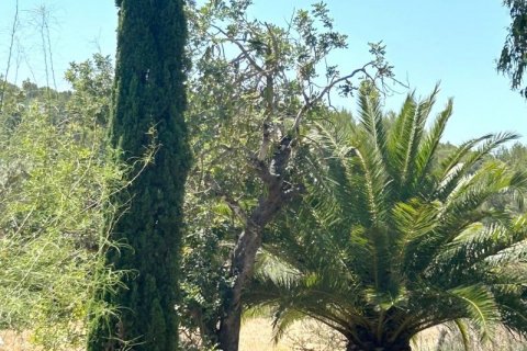 Villa zum Verkauf Es Capdella, Mallorca, Spanien 3 Schlafzimmer, 213 m2 Nr. 127061 - Foto 10