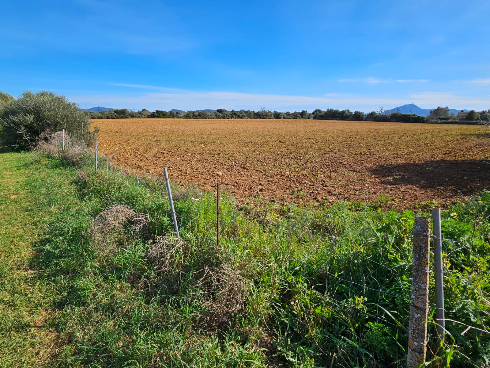 Terreno a Manacor, Mallorca, Spagna 33693 mq. N° 129229