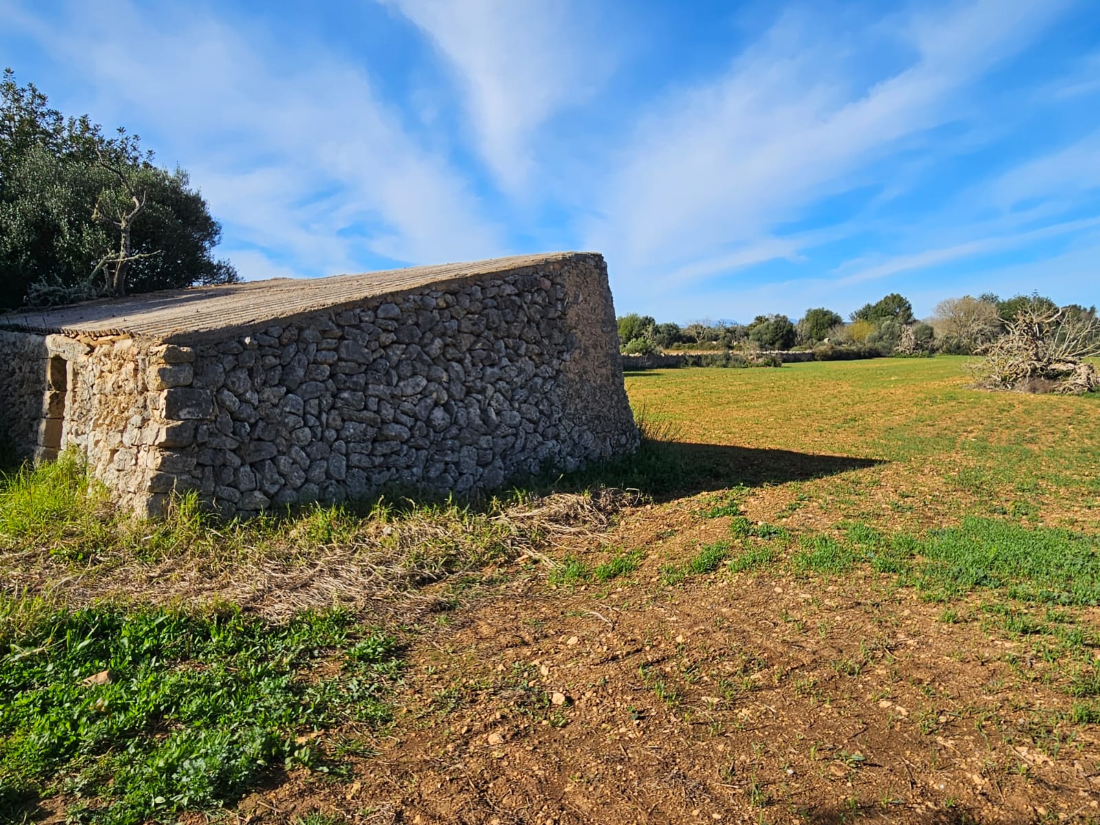 Terreno a Manacor, Mallorca, Spagna 33693 mq. N° 129229