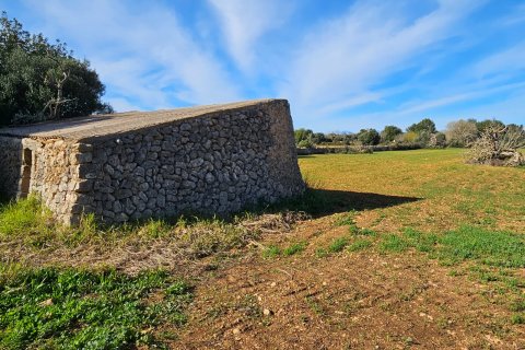 Tomt till salu Manacor, Mallorca, Spanien 33693 kvm. Nr. 129229 - foto 7