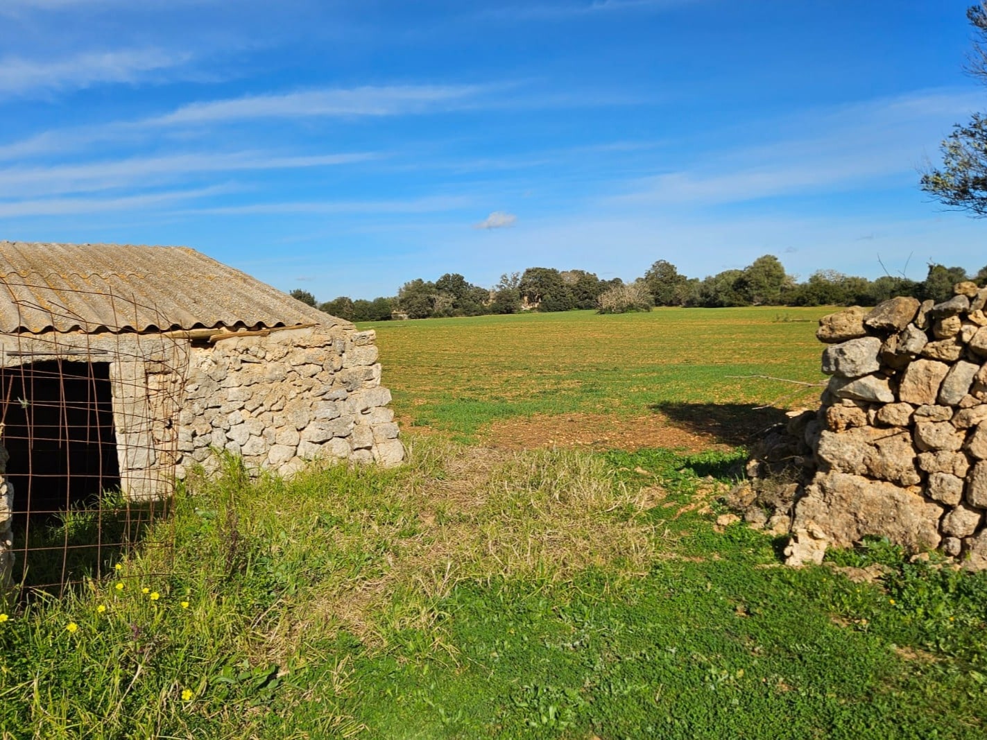 Terreno a Manacor, Mallorca, Spagna 33693 mq. N° 129229