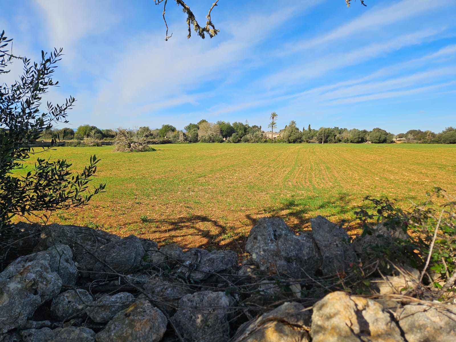Terreno a Manacor, Mallorca, Spagna 33693 mq. N° 129229