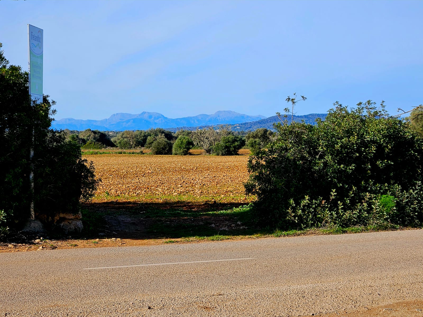 Terreno a Manacor, Mallorca, Spagna 33693 mq. N° 129229