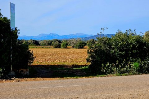 Tomt till salu Manacor, Mallorca, Spanien 33693 kvm. Nr. 129229 - foto 11